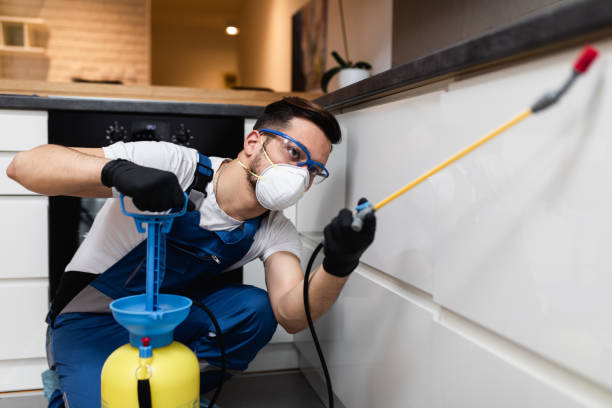 Best Pest Prevention Services  in Franklin, NC